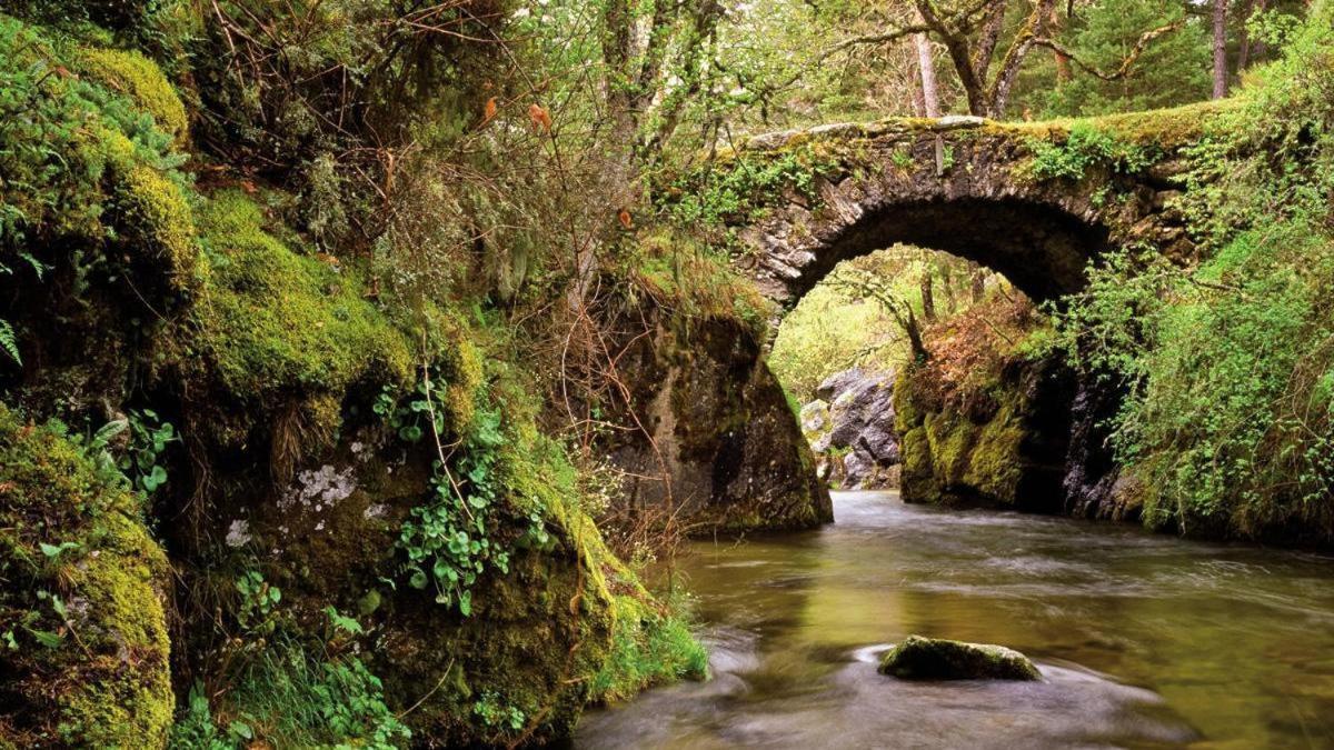 Hotel Boutique Rural Punta Me Torreblanca Guadarrama Dış mekan fotoğraf