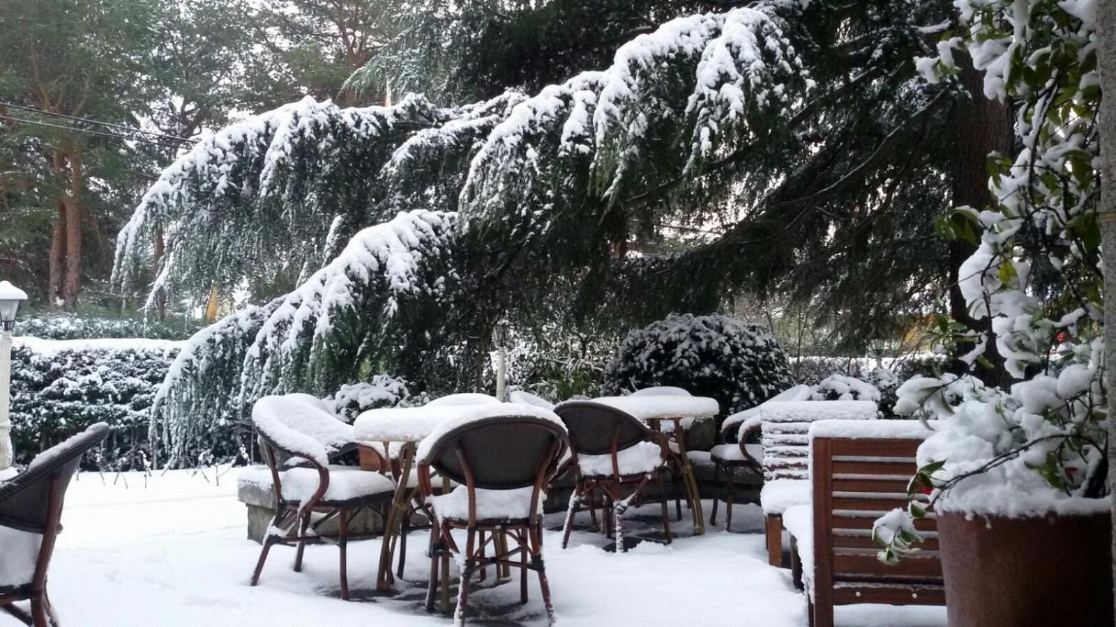 Hotel Boutique Rural Punta Me Torreblanca Guadarrama Dış mekan fotoğraf